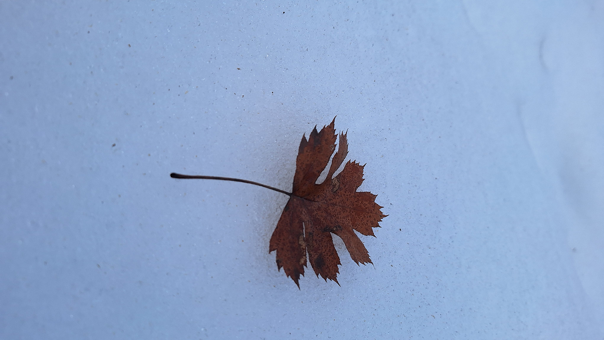 Highlanders961 challenge hiking