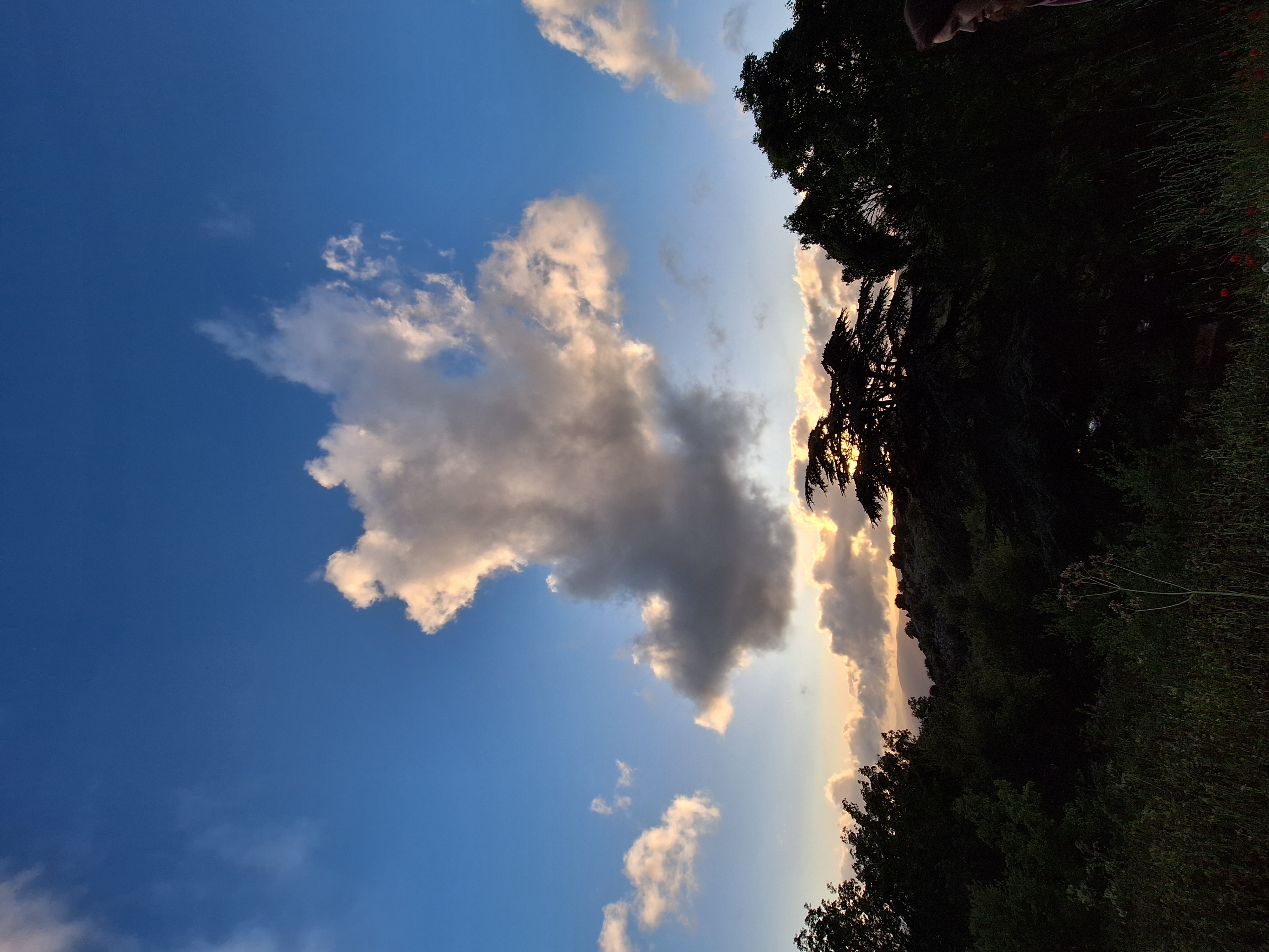 Cedars Ground Campsite